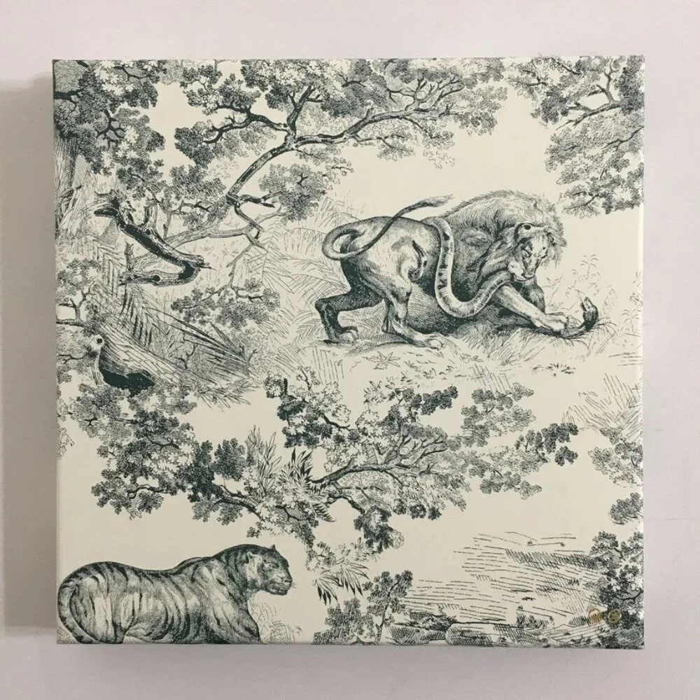 DIOR Empty Gift Box Hard Paper Green Animal Prints Squared Flat Accessory Box